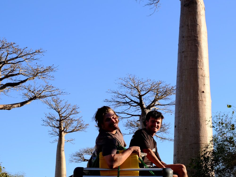Two travellers riding on the roof rack of a 4x4 beneath the baobabs