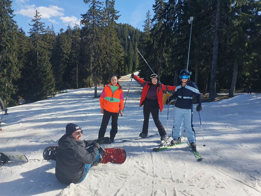 Skiers and a snowboarder on a tree-lined piste in Bulgaria